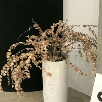 涵江FurryQQ群介绍